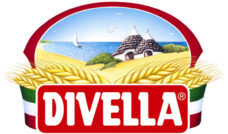 Divlla Logo